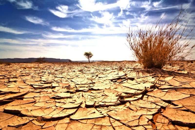 Kurak topraklar — çatlak, kuru arazi fotoğrafı